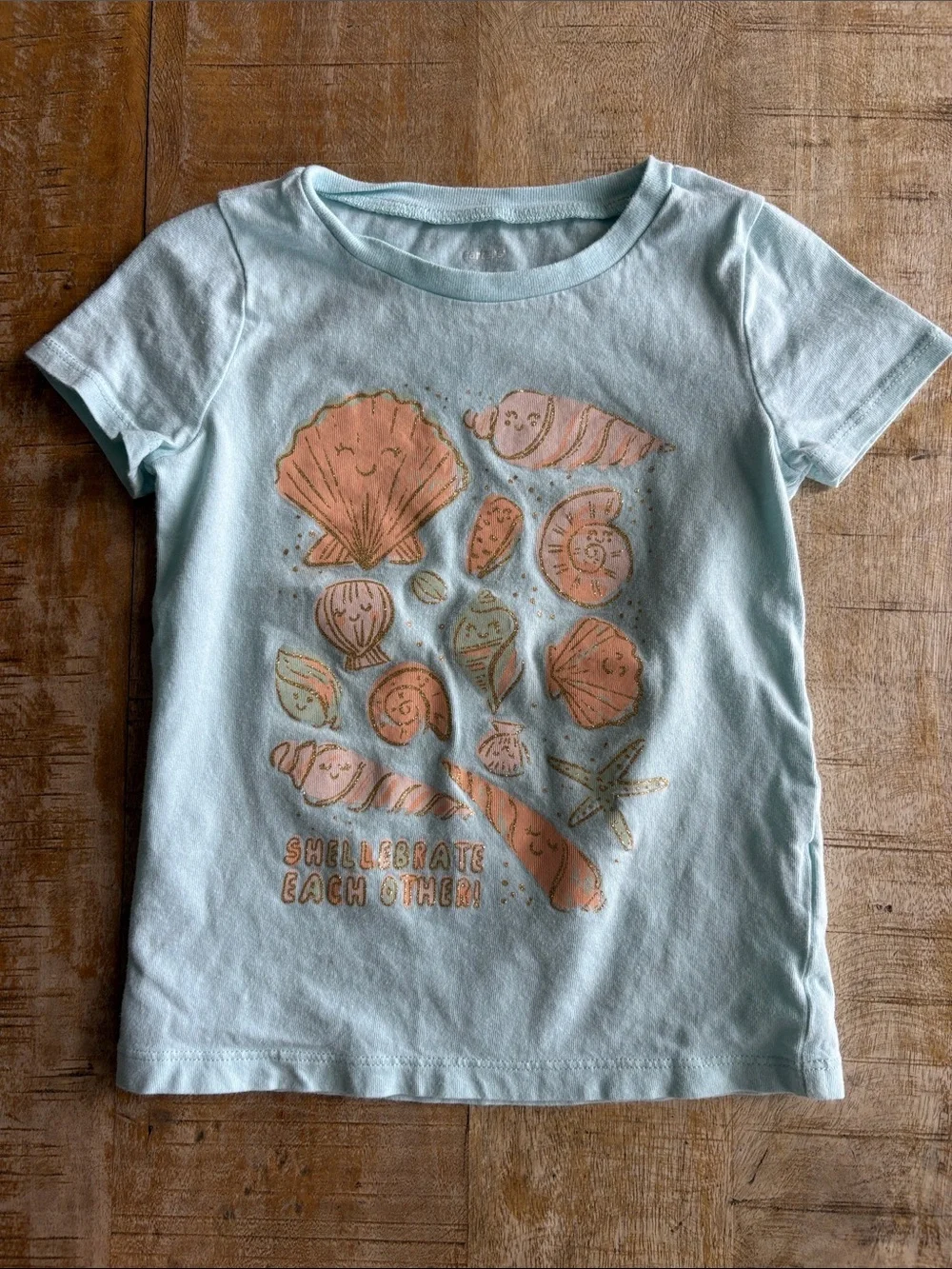 Carters Girls Summer Outfit Bundle 4t